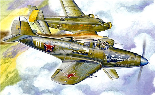 Р-39 Г.У.Дольникова.