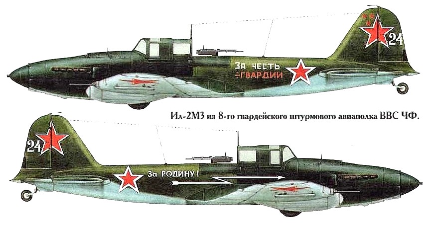Ил-2 из состава 8-го ГвШАП