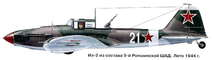 Ил-2 из состава 9-й ГвШАД