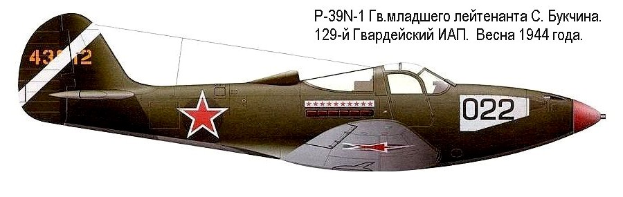 Р-39N-1 С.З.Букчина.