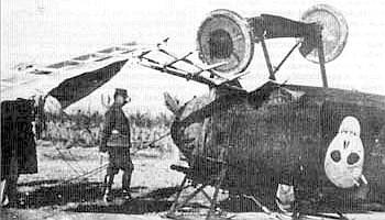 Albatros D.III (Oeffag) Г.Брумовски