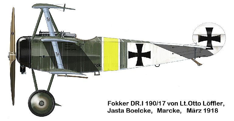 Fokker Dr.I Отто Лёффлера