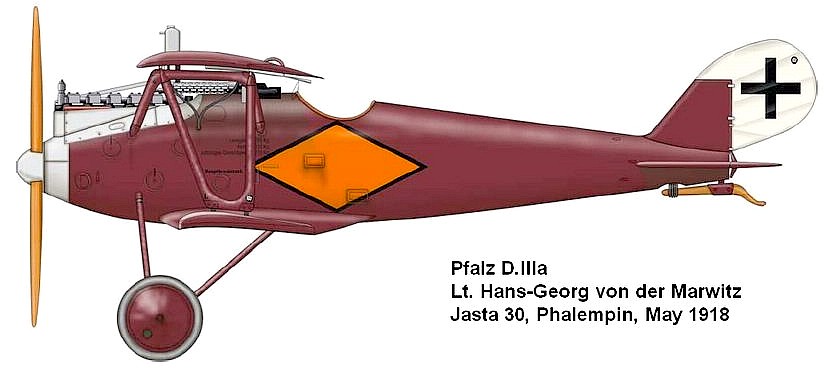 Pfalz D.IIIa Ханса-Георга фот дер Марвица.