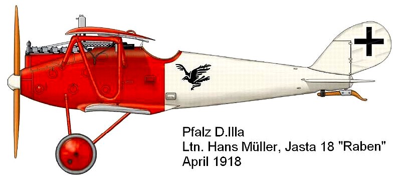 Pfalz D.IIIa Ганса Мюллера.