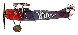 Fokker D.VII Гуго Шефера.