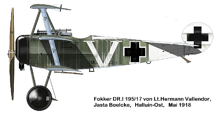 Fokker Dr.I Германа Валлендора