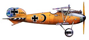 Albatros D.V Ганса Вальдхаузена