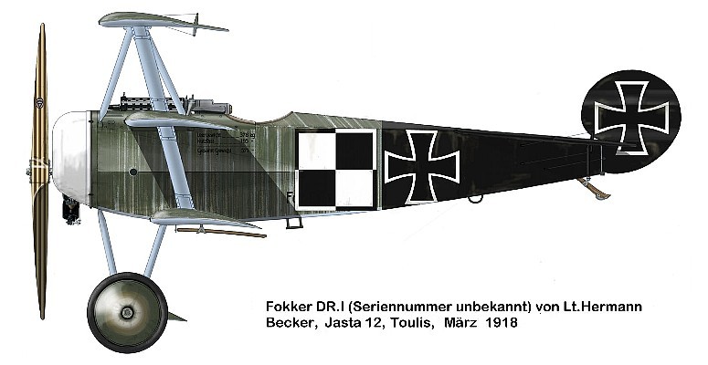 Fokker Dr.I Германа Беккера