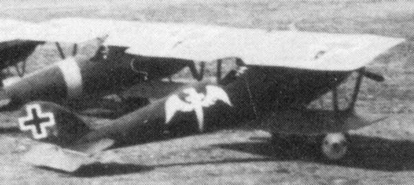 Pfalz D.III Р.Бертольда, 1917 г.