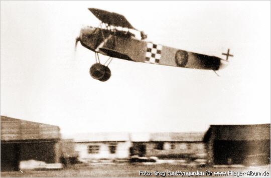 Fokker D.VII Франца Бюхнера