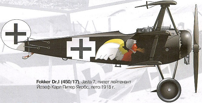 Fokker Dr.I Йозефа Якобса