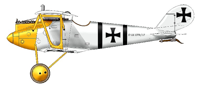 Pfalz D.III Вернера Фосса.