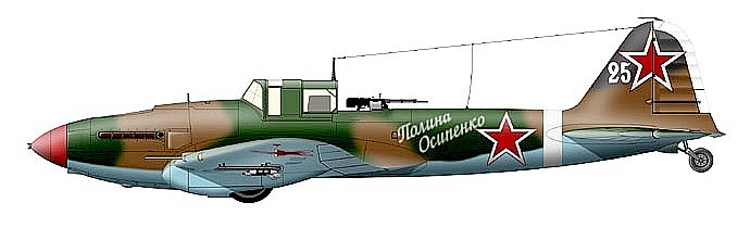 Ил-2 из 108-го ГвШАП