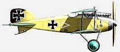 Albatros D.II Герберта Кноппе.