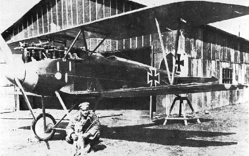 Курт Шнайдер у своего Albatros D.III